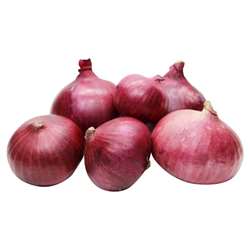 Onion-Medium/Kanda-Madhyam